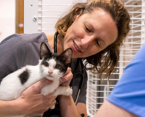 UGA College of Veterinary shelter medicine specialist Dr. Staci Cannon and then-4th year veterinary student Helen Jones check on a cat who recently had surgery while volunteering at the Athens Area Humane Society in 2022.