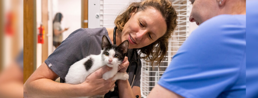 UGA College of Veterinary shelter medicine specialist Dr. Staci Cannon and then-4th year veterinary student Helen Jones check on a cat who recently had surgery while volunteering at the Athens Area Humane Society in 2022.